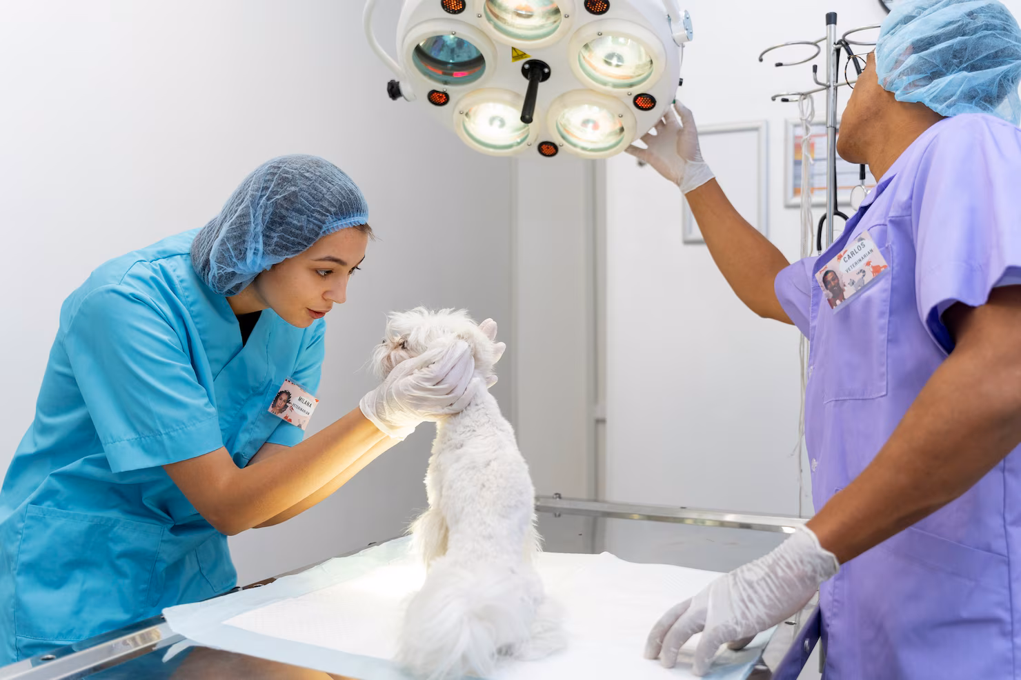 Ultrasound Services