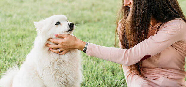 Careers at Sacramento Veterinary Hospital